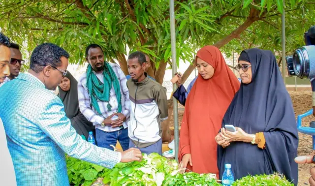 Agriculture Financing