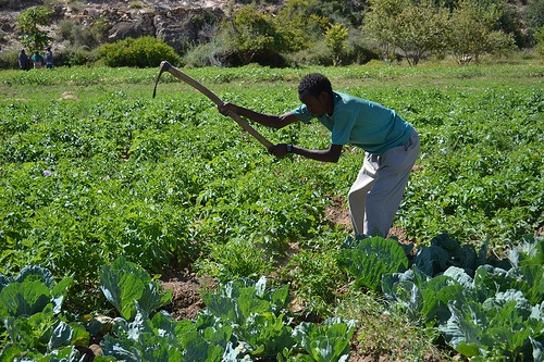 Agriculture Financing visual