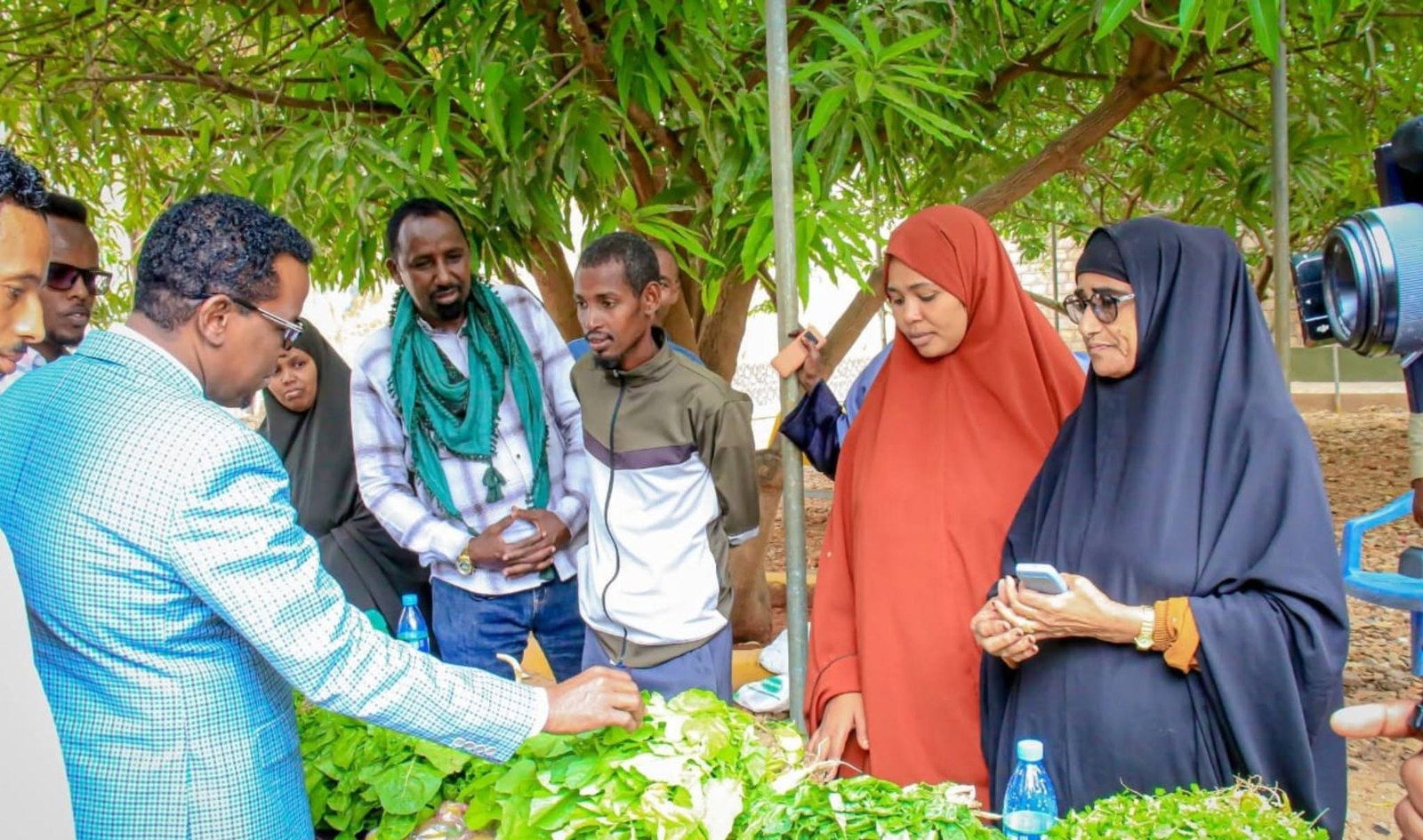 Agriculture Financing