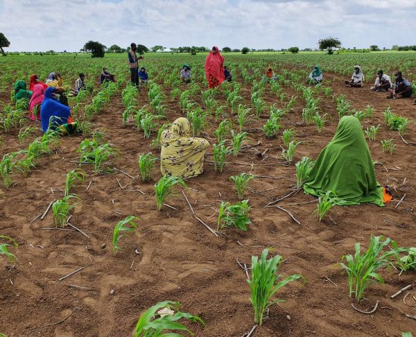 photo_2022-10-25_11-03-12