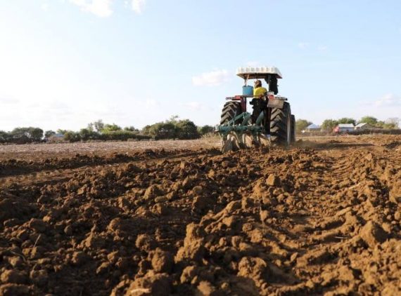 photo_2022-11-09_12-00-27-570x422